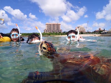 初心者専門宮古島シュノーケリングツアーに投稿された画像（2024/5/15）