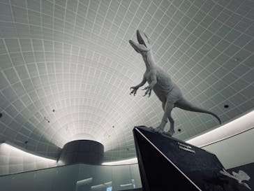 福井県立恐竜博物館に投稿された画像（2024/5/15）