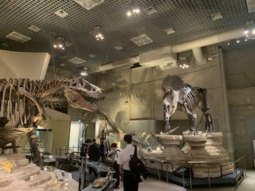 特別展「大哺乳類展３－わけてつなげて大行進」に投稿された画像（2024/5/15）