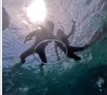 武藤潜水に投稿された画像（2024/5/15）