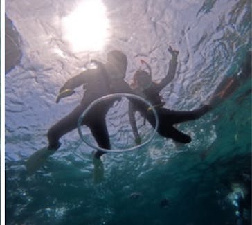 武藤潜水に投稿された画像（2024/5/15）