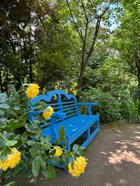 横浜イングリッシュガーデンに投稿された画像（2024/5/15）