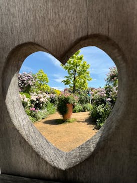 横浜イングリッシュガーデンに投稿された画像（2024/5/15）