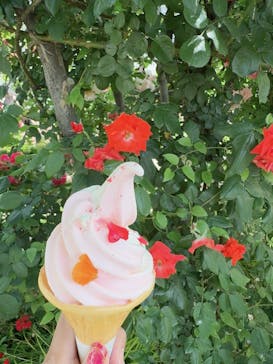 横浜イングリッシュガーデンに投稿された画像（2024/5/15）