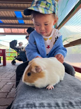 日立市かみね動物園に投稿された画像（2024/5/15）