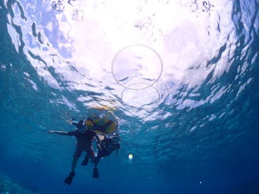 初心者専門宮古島シュノーケリングツアーに投稿された画像（2024/5/15）