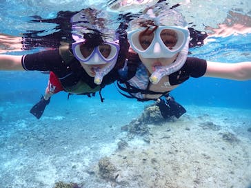 初心者専門宮古島シュノーケリングツアーに投稿された画像（2024/5/15）