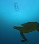  マリンショップHAPPYに投稿された画像（2024/5/15）