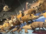 特別展「大哺乳類展３－わけてつなげて大行進」に投稿された画像（2024/5/15）