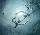 青の洞窟専門店　沖縄ダイビングショップ和に投稿された画像（2024/5/15）