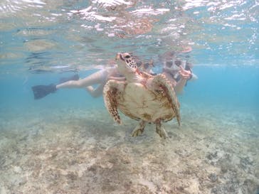 宮古島マリンショップSmileyに投稿された画像（2024/5/15）