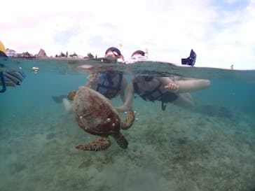 宮古島マリンショップSmileyに投稿された画像（2024/5/15）