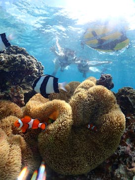 宮古島マリンショップSmileyに投稿された画像（2024/5/15）