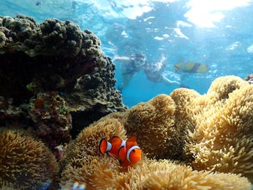 宮古島マリンショップSmileyに投稿された画像（2024/5/15）