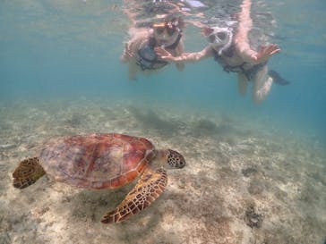 宮古島マリンショップSmileyに投稿された画像（2024/5/15）