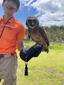 ネオパークオキナワに投稿された画像（2024/5/15）