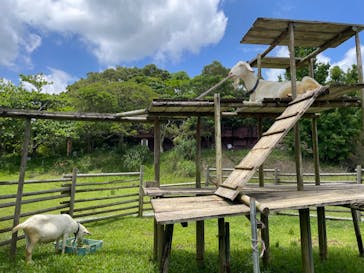 ネオパークオキナワに投稿された画像（2024/5/15）