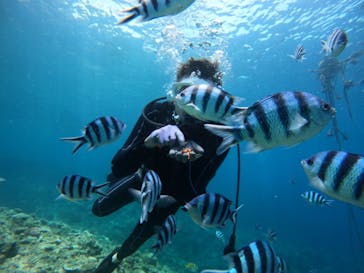 青の洞窟専門店　沖縄ダイビングショップ和に投稿された画像（2024/5/15）