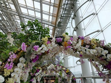 浜名湖花博2024に投稿された画像（2024/5/15）