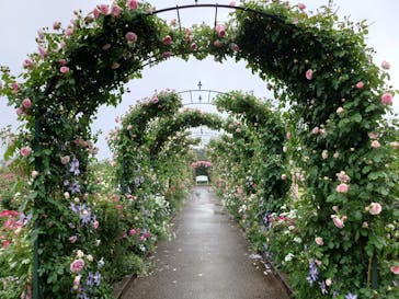 浜名湖花博2024に投稿された画像（2024/5/15）