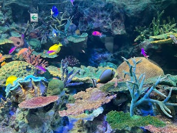 サンシャイン水族館に投稿された画像（2024/5/15）