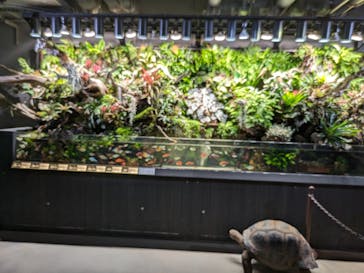 AQUARIUM × ART　atoaに投稿された画像（2024/5/15）