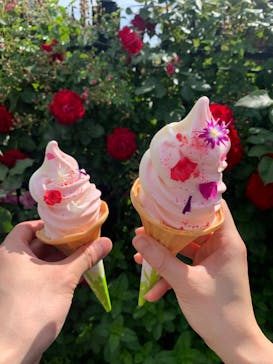 横浜イングリッシュガーデンに投稿された画像（2024/5/15）