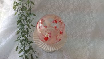 ずこうしつ〜sugamo〜に投稿された画像（2024/5/15）