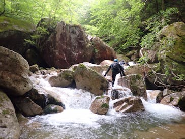 自然派企画に投稿された画像（2024/5/15）