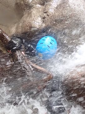 自然派企画に投稿された画像（2024/5/15）