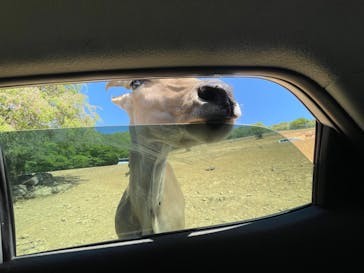 東北サファリパークに投稿された画像（2024/5/15）