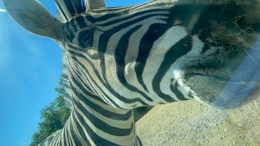 東北サファリパークに投稿された画像（2024/5/15）