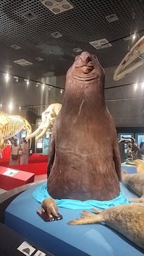 国立科学博物館に投稿された画像（2024/5/15）