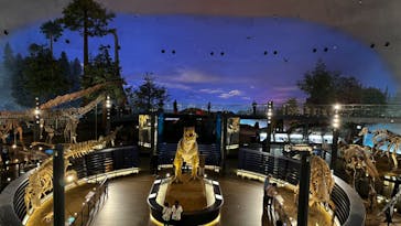 福井県立恐竜博物館に投稿された画像（2024/5/15）