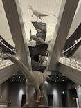 福井県立恐竜博物館に投稿された画像（2024/5/16）