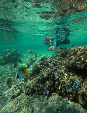 武藤潜水に投稿された画像（2024/5/16）