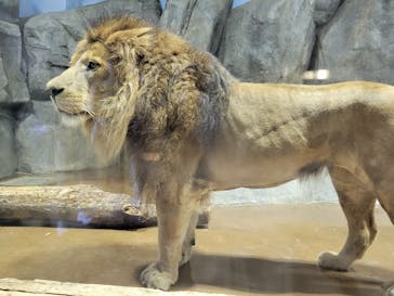 よこはま動物園ズーラシアに投稿された画像（2024/5/16）