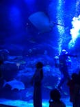 すみだ水族館に投稿された画像（2024/5/16）