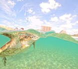 初心者専門宮古島シュノーケリングツアーに投稿された画像（2024/5/16）