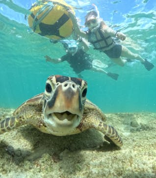 初心者専門宮古島シュノーケリングツアーに投稿された画像（2024/5/16）