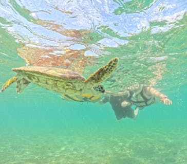 初心者専門宮古島シュノーケリングツアーに投稿された画像（2024/5/16）