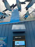 サンシャイン水族館に投稿された画像（2024/5/16）