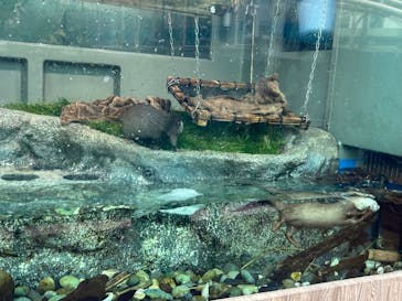 サンシャイン水族館に投稿された画像（2024/5/16）