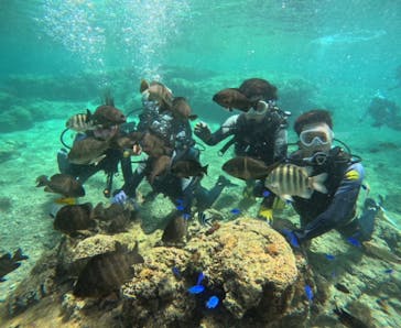 武藤潜水に投稿された画像（2024/5/16）