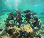 武藤潜水に投稿された画像（2024/5/16）