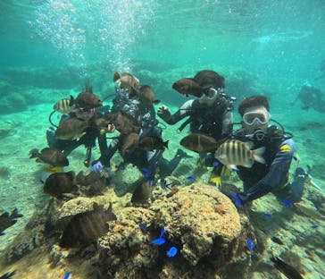 武藤潜水に投稿された画像（2024/5/16）