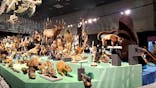 特別展「大哺乳類展３－わけてつなげて大行進」に投稿された画像（2024/5/16）