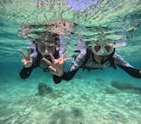 沖縄マリンサービス碧に投稿された画像（2024/5/16）