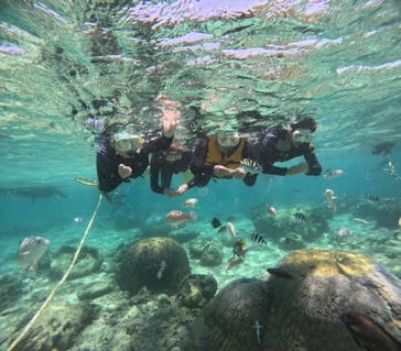 沖縄マリンサービス碧に投稿された画像（2024/5/16）