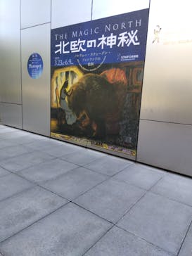 北欧の神秘（ＳＯＭＰＯ美術館）に投稿された画像（2024/5/16）